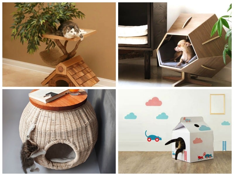 15 Coolest Houses You Wish Your Pet Had > FREEYORK